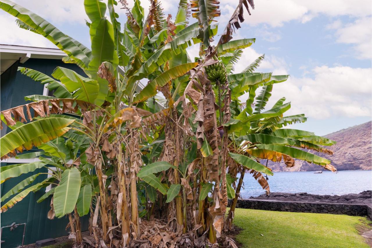 Manini Beach Breath Taker Captain Cook Exterior photo